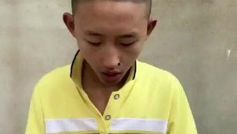 黄梅明星,璀璨星河中的璀璨明珠